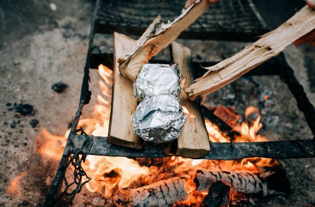 smore's приготовление пищи на пожарной яме в лесу в швеции - fire pit fire camping campfire стоковые фото и изображения