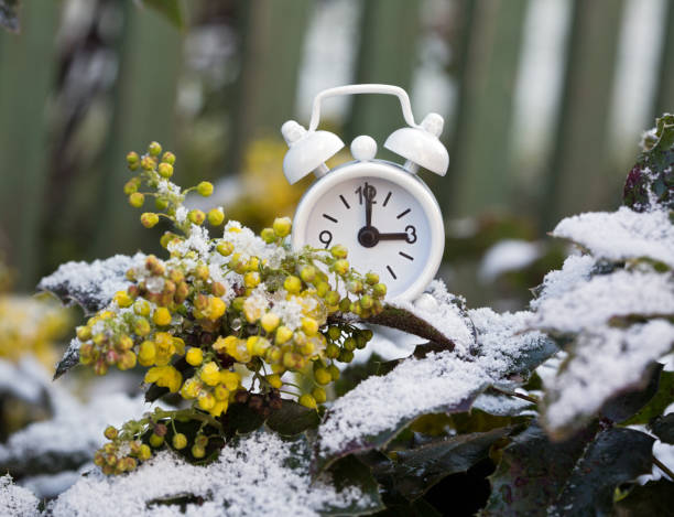 istock Alarm clock in the frost 1284276441