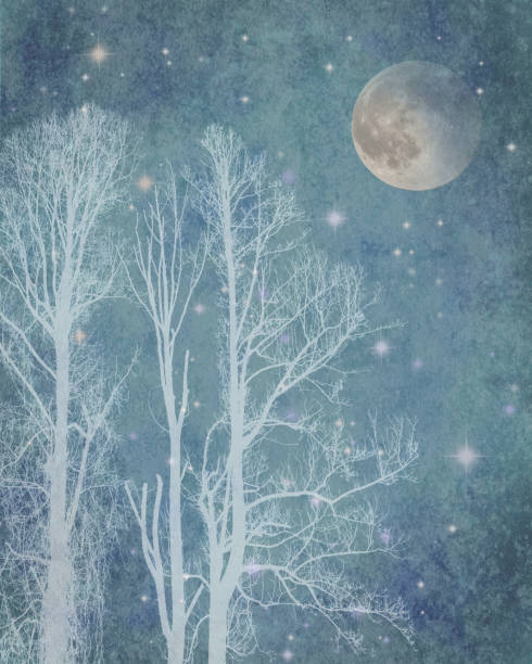 istock Magical Sky with Full Moon, Stars, White Trees - Atmospheric Mood 1284280872