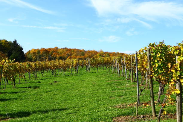istock Sunny October Day in Southern Germany 1284283331