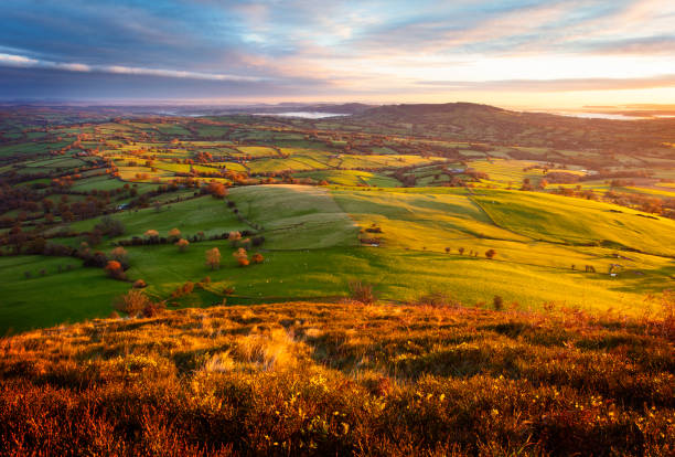 Rural Welsh landscape Rolling landscape in the Brecon Beacons national park in morning light, Wales wales mountain mountain range hill stock pictures, royalty-free photos & images