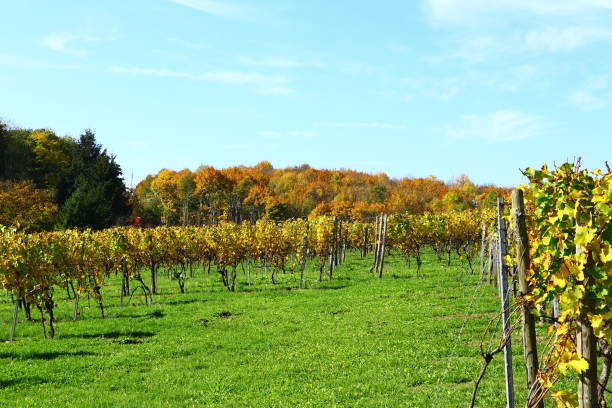 istock Sunny October Day in Southern Germany 1284283454