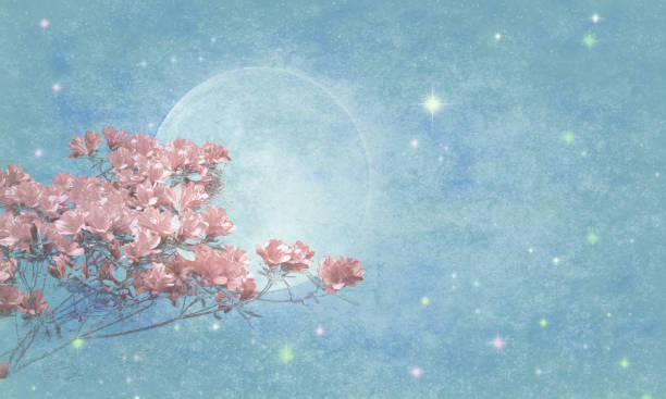 Photo of Azaleas over Magical Sky with Full Moon and Stars - Atmospheric Mood