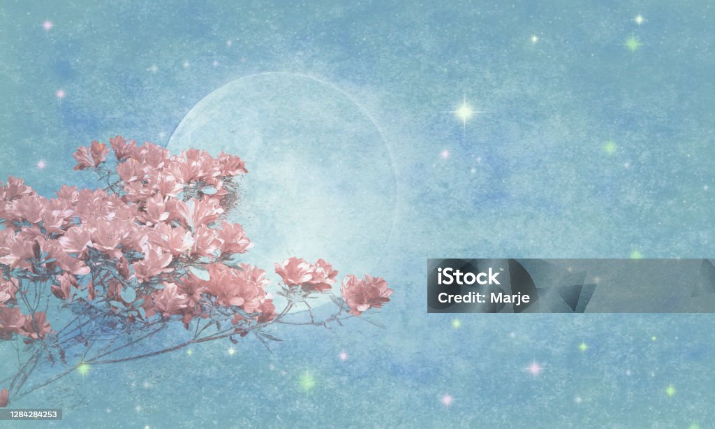 Azaleas over Magical Sky with Full Moon and Stars - Atmospheric Mood Azaleas Magical Sky with Full Moon and Stars Background - Copy Space - Atmospheric Mood - Starry Sky Background.   Elements of this image furnished by NASA.  URL:  https://images-assets.nasa.gov/image/201408100002HQ/201408100002HQ~medium.jpg Flower Stock Photo