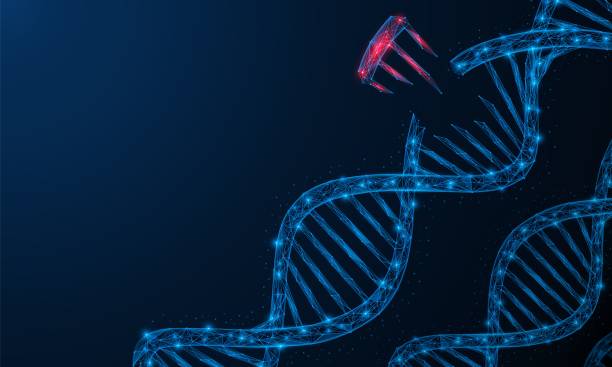 illustrazioni stock, clip art, cartoni animati e icone di tendenza di mutazione genica, danno a una parte del dna di una cellula. costruzione poligonale di linee e punti. sfondo blu. - genetic mutation