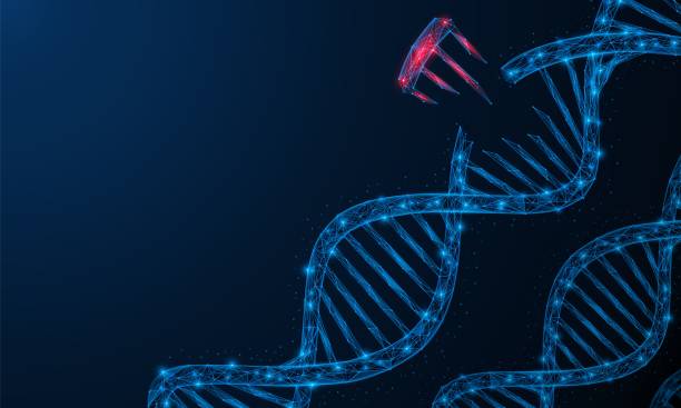 Gene mutation, damage to a part of a cell's DNA. Polygonal construction of lines and points. Blue background. Gene mutation, damage to a part of a cell's DNA. Polygonal construction of lines and points. Blue background. deformed stock illustrations