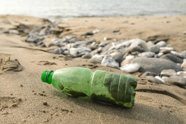 istock Green Plastic bottle trash abbandoned on sea coast ecosystem,environmental pollution issues 1284290258