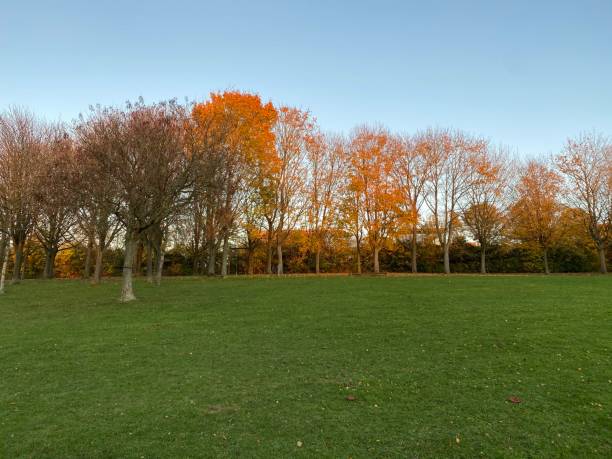 istock Scenic autumn sunset in clear autumn day 1284290857