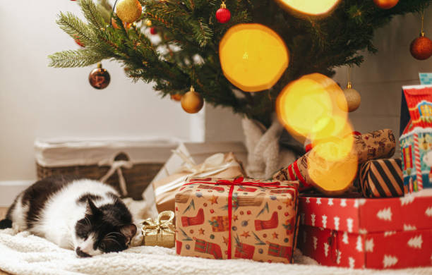 istock Happy holidays! Adorable cat sleeping on soft blanket with gift boxes under christmas tree 1284297565
