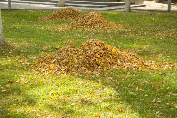 istock heaps with yellow leaves on the green grass in autumn. selective focus. 1284297866