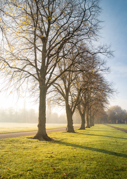istock Autumn misty morning 1284299449