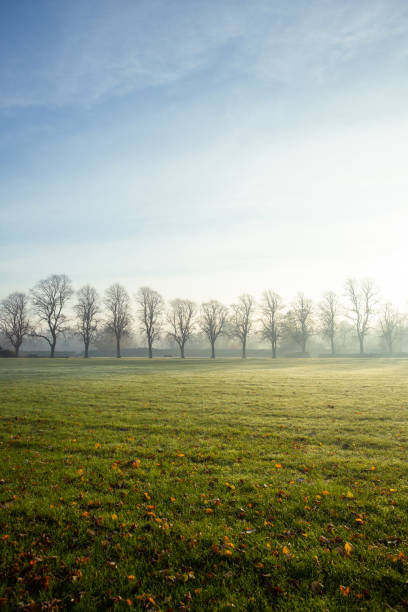 istock Autumn misty morning 1284299784