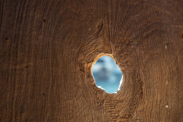 wood