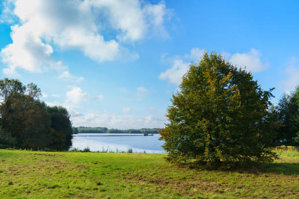 istock A tree by the lake under a blue sky with light clouds. Autumn. 1284303220