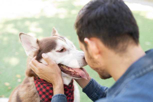 istock Hispanic man scratching a furry dog's face 1284309415