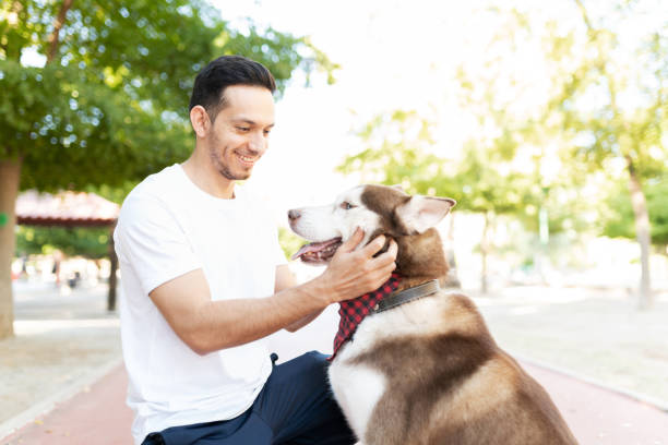 istock Hispanic man petting a husky dog's face 1284309605
