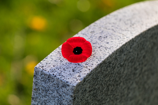 Victoria, British Columbia, Canada - November 4, 2020:  The poppy used to symbolize Remembrance Day in Canada, the National holiday celebrated on November 11th.