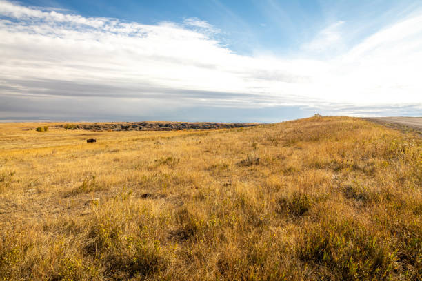 istock Sprawling Plain on Sunny Day in North Dakota National Park 1284310522