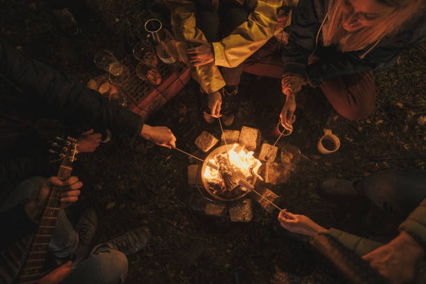 Camping nights High angle view of a small group of friends roasting marshmallows and playing guitar by the campfire; friends camping in the woods and having a great time. bonfire photos stock pictures, royalty-free photos & images