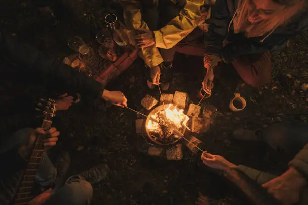 High angle view of a small group of friends roasting marshmallows and playing guitar by the campfire; friends camping in the woods and having a great time.