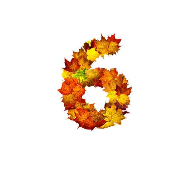 istock Colorful autumn leaves isolated on white background as number six. 1284314375