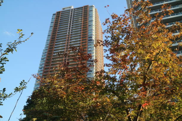 istock yellow leaves and the tower apartment 1284339317