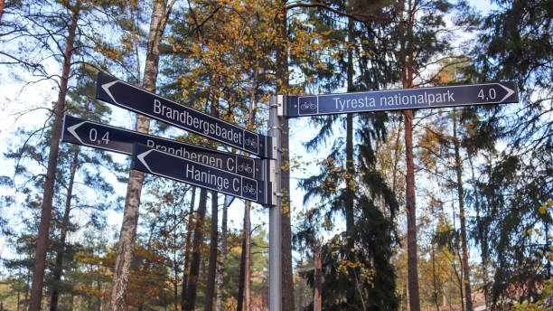 istock Signpost in front of tall trees, Haninge municipality 1284341263