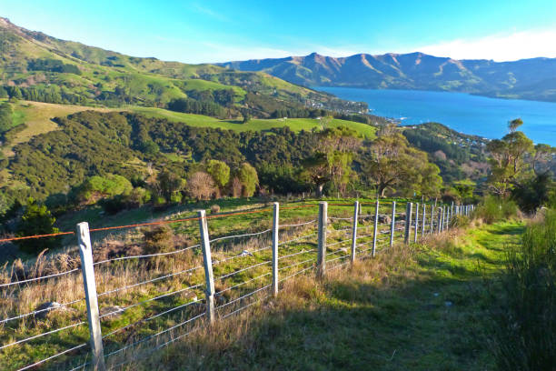 istock Hills of Banks Peninsula 1284344995