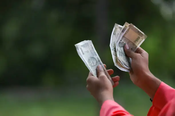 Young indian farmer counting money