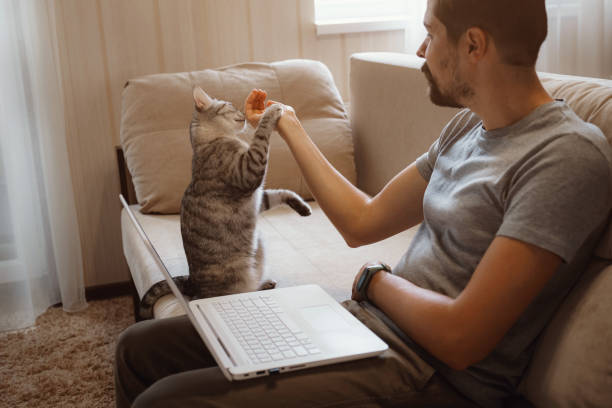 istock Young attractive smiling guy is browsing at his laptop 1284351161