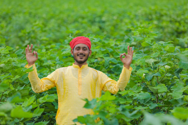 istock Indian farmer at cotton field 1284352150