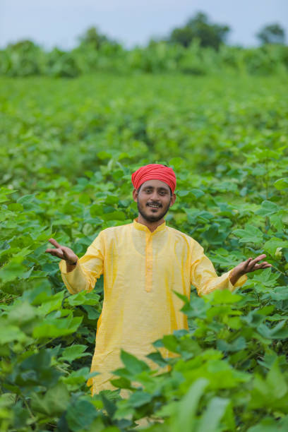 istock Indian farmer at cotton field 1284352155