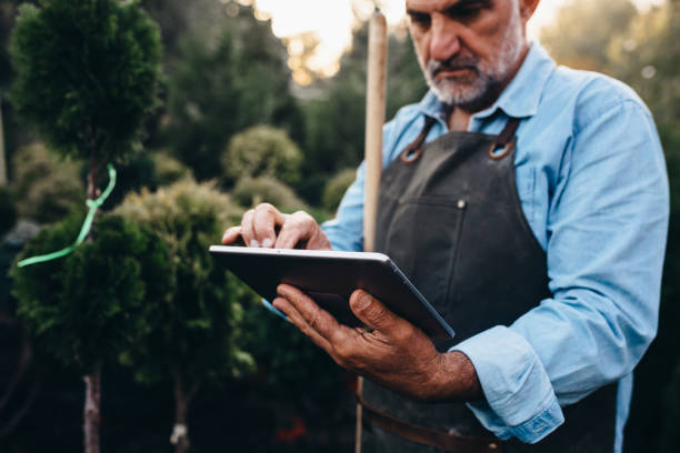 close up of middle aged man using tablet in tree nursery