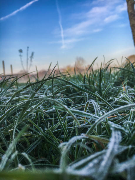 istock Beautiful misty frosty morning 1284353475