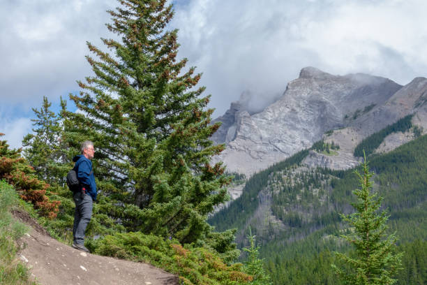 istock Man Amidst Plants And Mountains Against Sky 1284356256