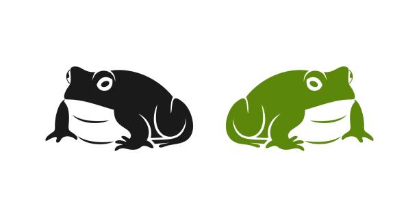ilustraciones, imágenes clip art, dibujos animados e iconos de stock de logotipo de rana. rana abstracta sobre fondo blanco. bufo common european toad - sapo