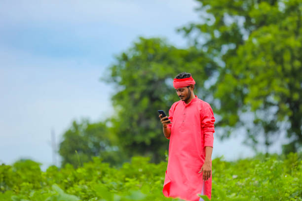 istock Young indian farmer using smartphone at green eggplant field 1284358899