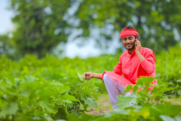 istock Young indian farmer talking on mobile phone at green eggplant field 1284359318