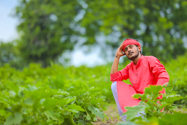 Young indian farmer in stress or thinking in eggplant field