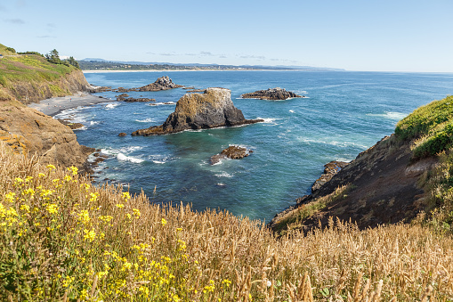 Oregon Coast landscape with Cliffs and Pacific Ocean. Yaquina Bay Coastline, USA