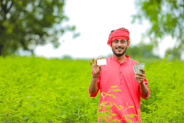 istock Young indian farmer showing card at green field 1284360196