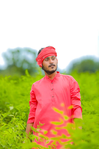 istock Young indian farmer standing in green pigeon pea field 1284360302