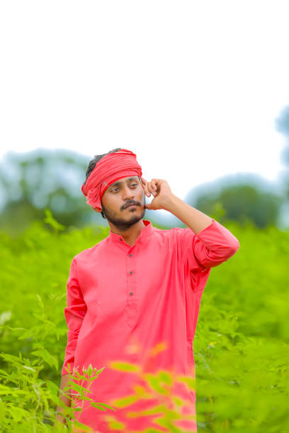 istock Young indian farmer standing in green pigeon pea field 1284360307