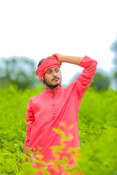 istock Young indian farmer standing in green pigeon pea field 1284360324