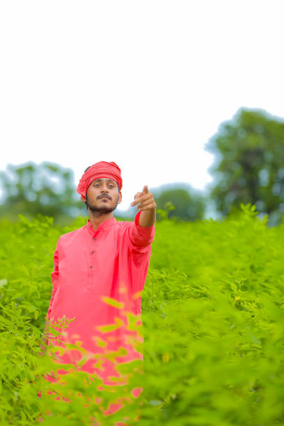 istock Young indian farmer standing in green pigeon pea field 1284360847