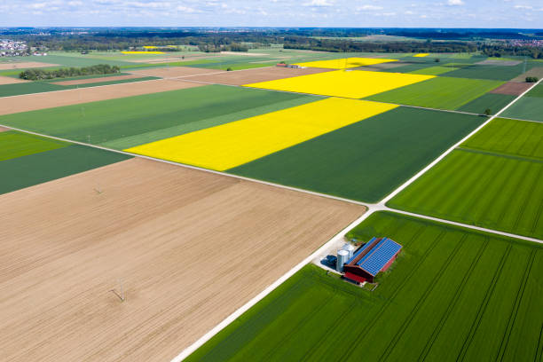 Free picture: rapeseed, agriculture, farmland, farm, barn, field, rural ...