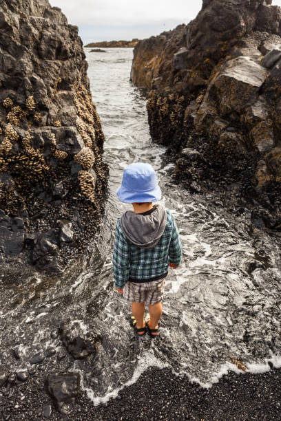 istock Little boy exploring Cobble Beach, Yaquina Head 1284362199