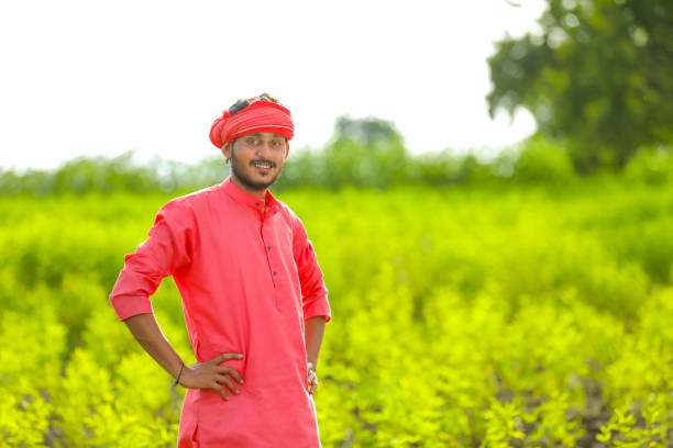 istock Young indian farmer standing in green pigeon pea field 1284362903