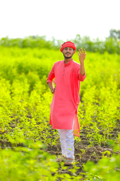 istock Young indian farmer standing in green pigeon pea field 1284363276