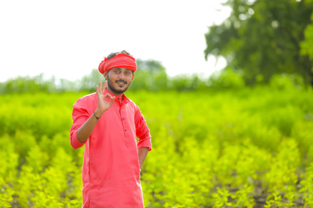 istock Young indian farmer standing in green pigeon pea field 1284363379